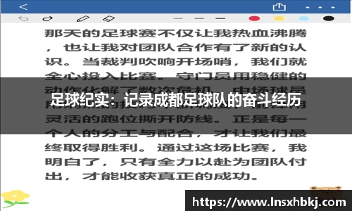 足球纪实：记录成都足球队的奋斗经历